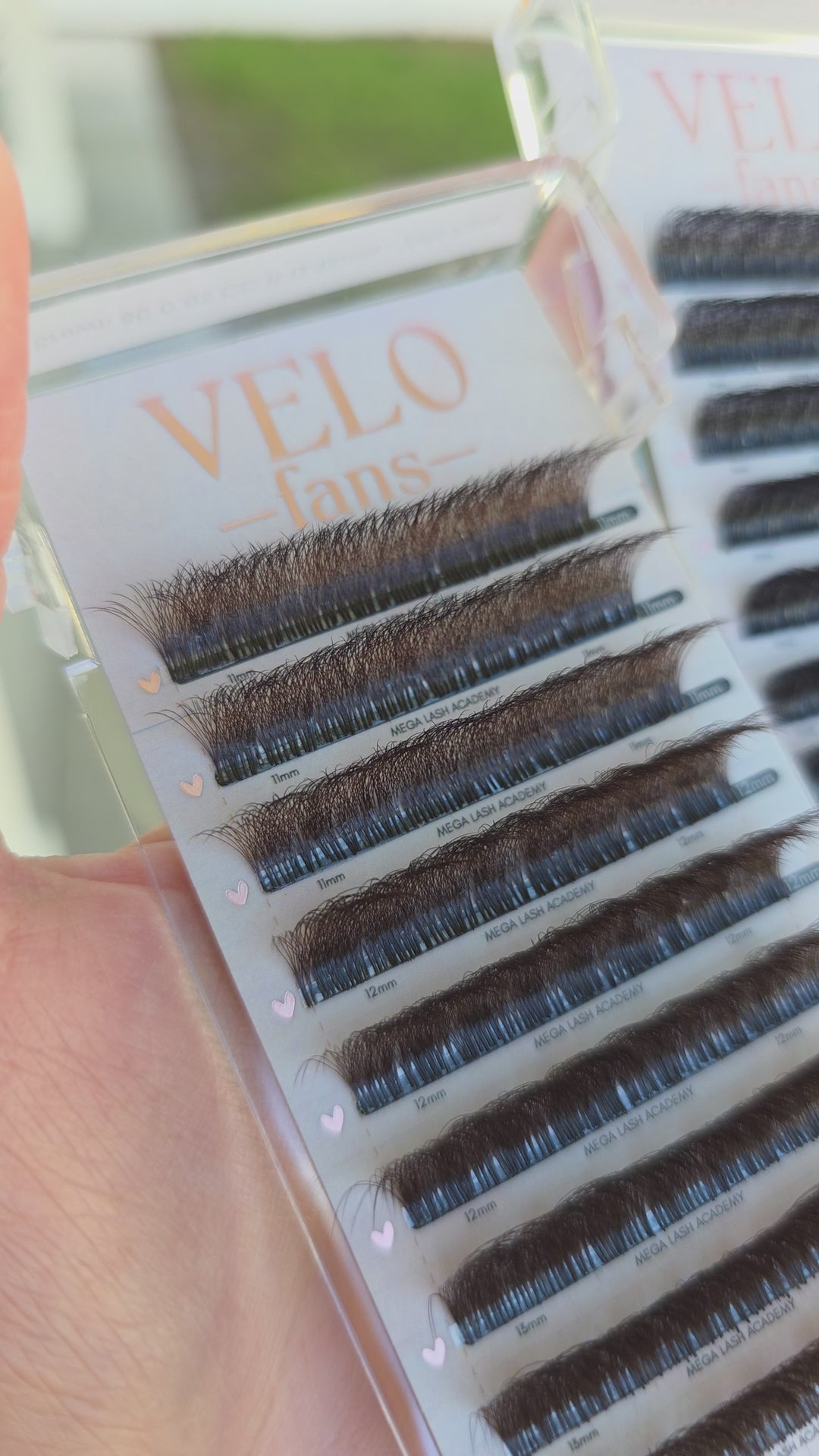 8D Velo Fans - Brown