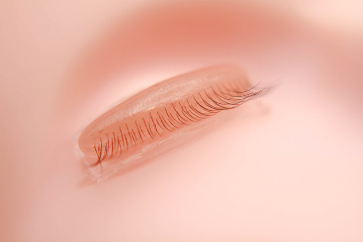 Ultra Real Practice Eyelid for Lash Extensions Training