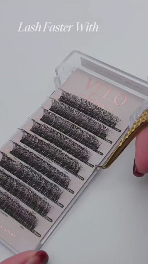 5D Velo Fans premade volume step by step lashing 
