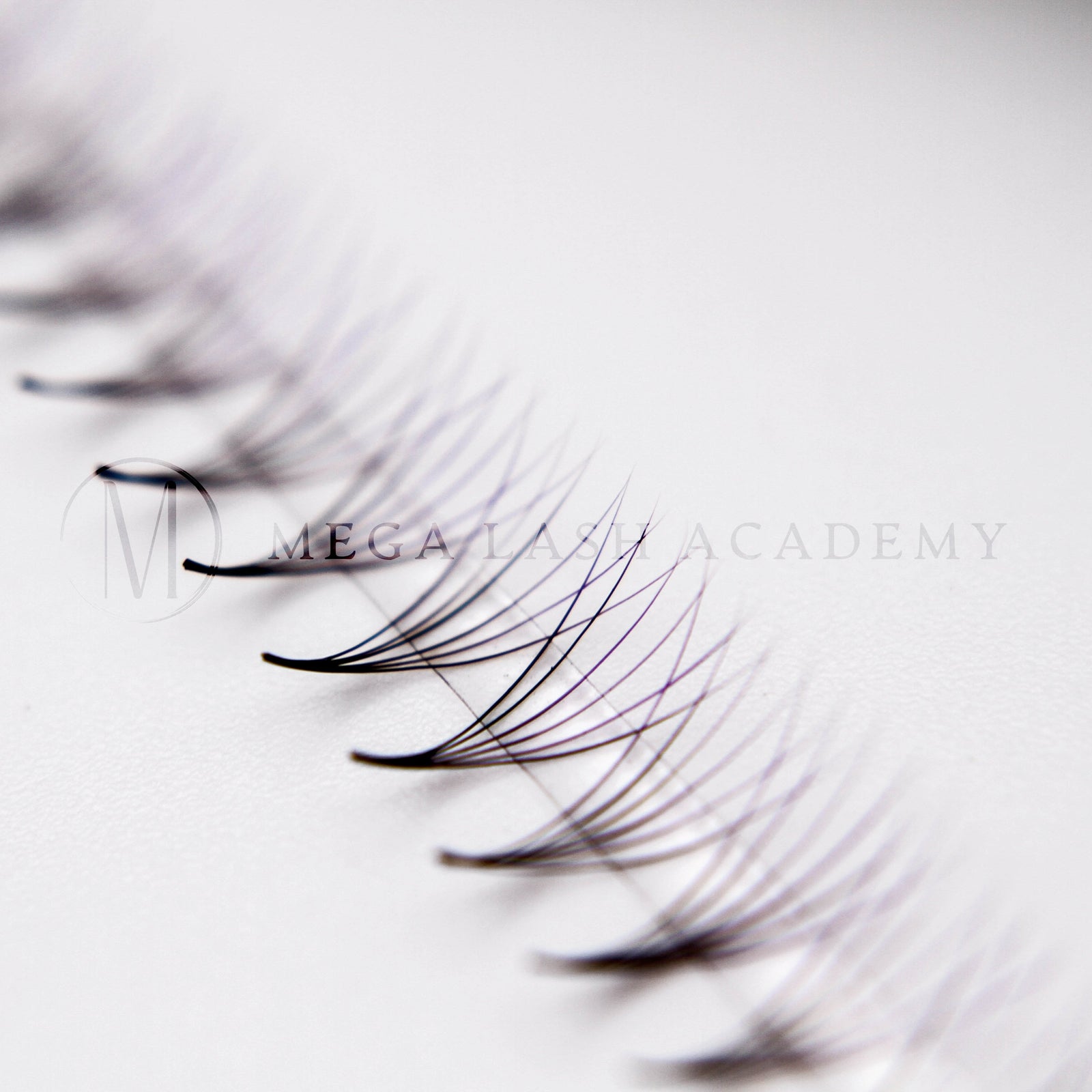 Purple Ombré 6D Rapid Promade Fans - 600 Fans Promade Fans Mega Lash Academy 