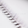Purple Ombré 6D Rapid Promade Fans - 600 Fans Promade Fans Mega Lash Academy 
