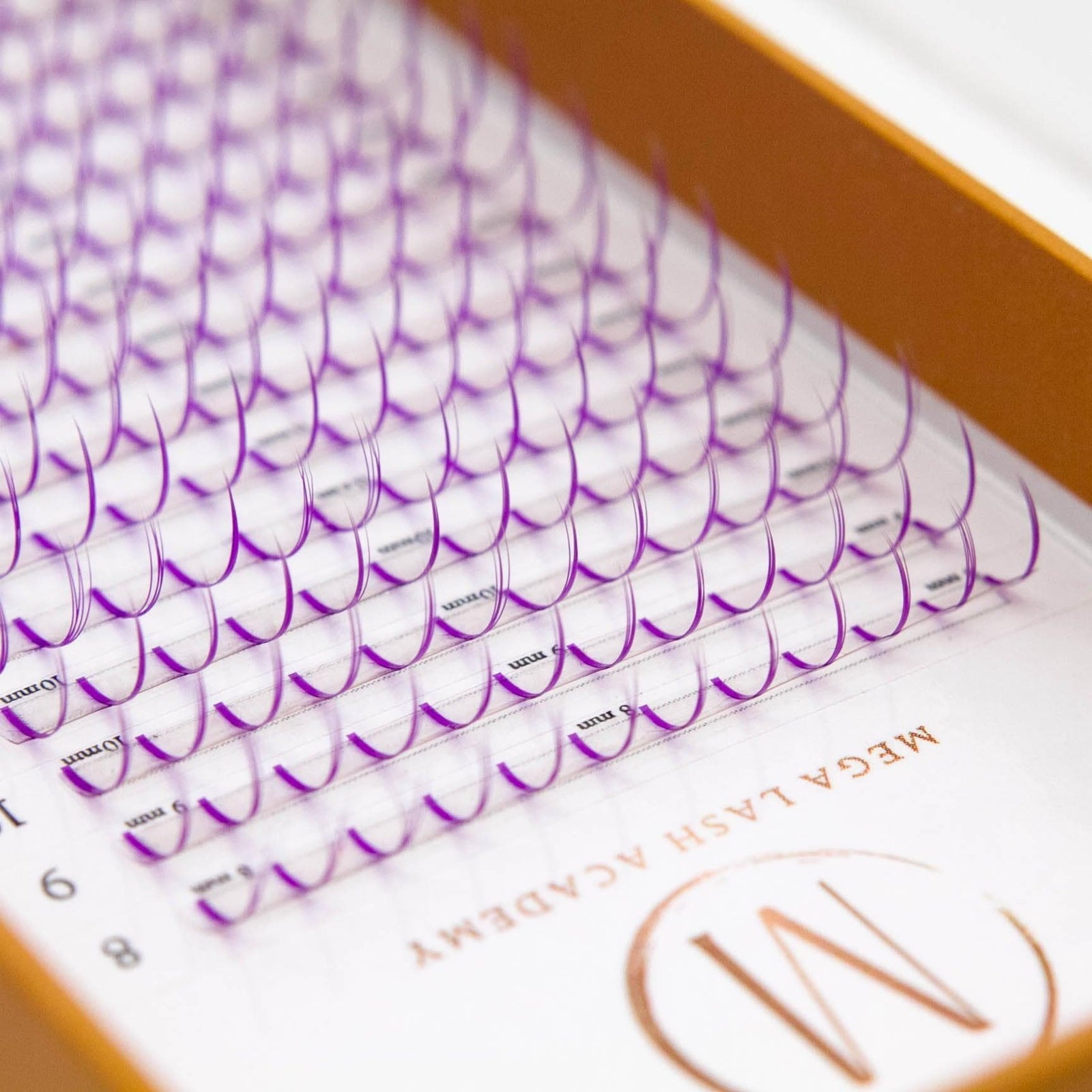 Purple Promade Spikes - Mega Lash Academy
