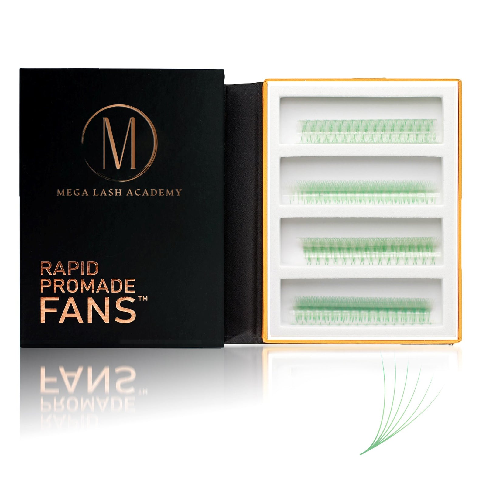 Seafoam 6D Rapid Promade Fans - 600 Fans Promade Fans Mega Lash Academy 