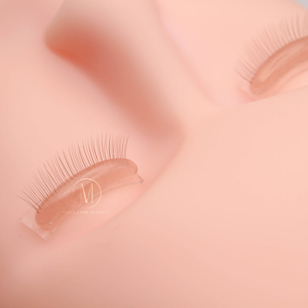 Detailed view of natural layered lashes on Ultra Real Lash Practice Eyelids for realistic lash extension practice