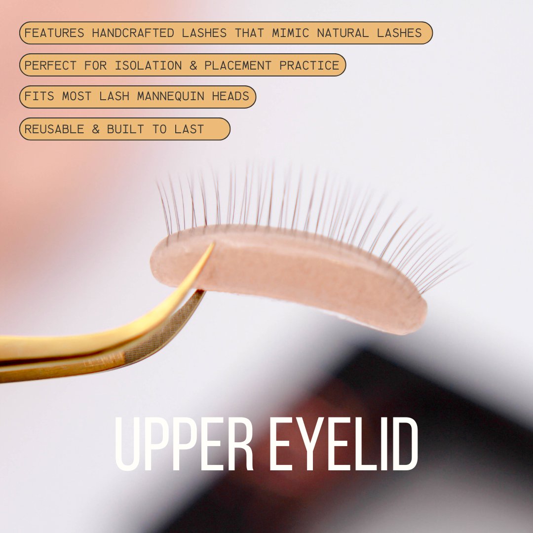 Detailed view of natural layered lashes on Ultra Real Lash Practice Eyelids for realistic lash extension practice
