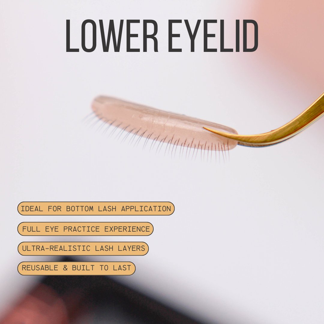 Detailed view of natural layered lashes on Ultra Real Lash Practice Eyelids for bottom lash realistic lash extension practice