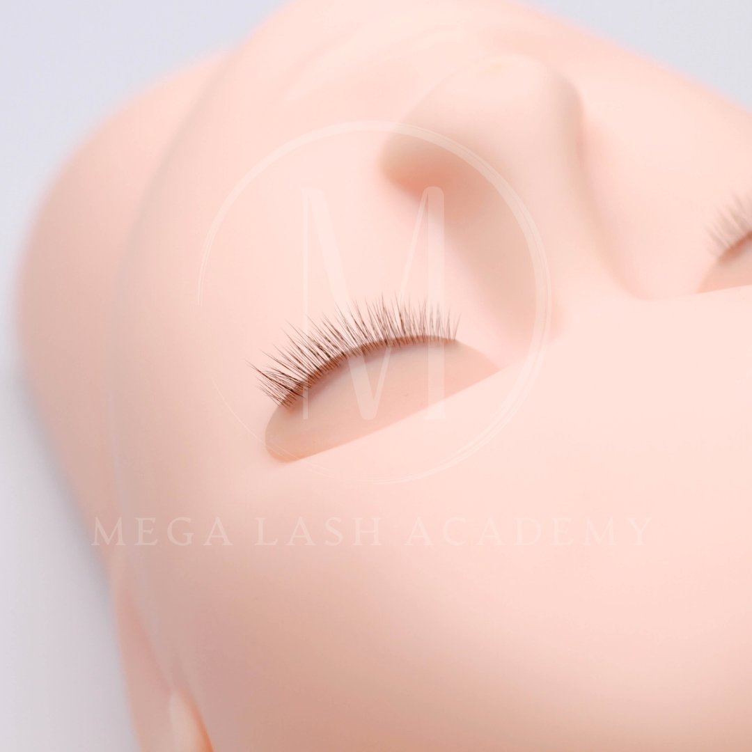 Ultra Realistic Lash Practice Eyelids Lash Extensions Practice Tray Mega Lash Academy 