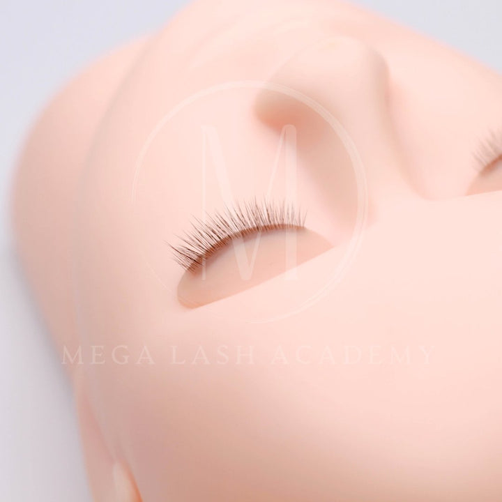 Ultra Realistic Lash Practice Eyelids Lash Extensions Practice Tray Mega Lash Academy 