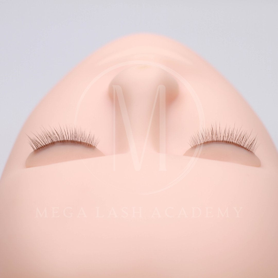 Ultra Realistic Lash Practice Eyelids Lash Extensions Practice Tray Mega Lash Academy 