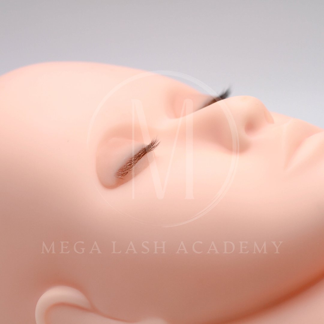 Ultra Realistic Lash Practice Eyelids Lash Extensions Practice Tray Mega Lash Academy 