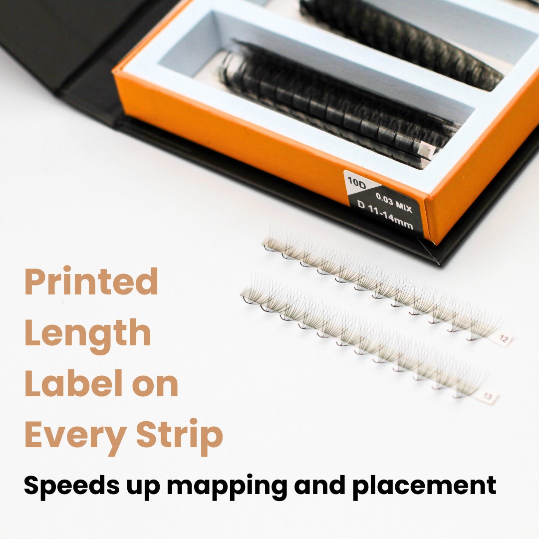 Wispy 9D Mix Rapid Promade Fans - 600 Fans Promade Fans Mega Lash Academy 