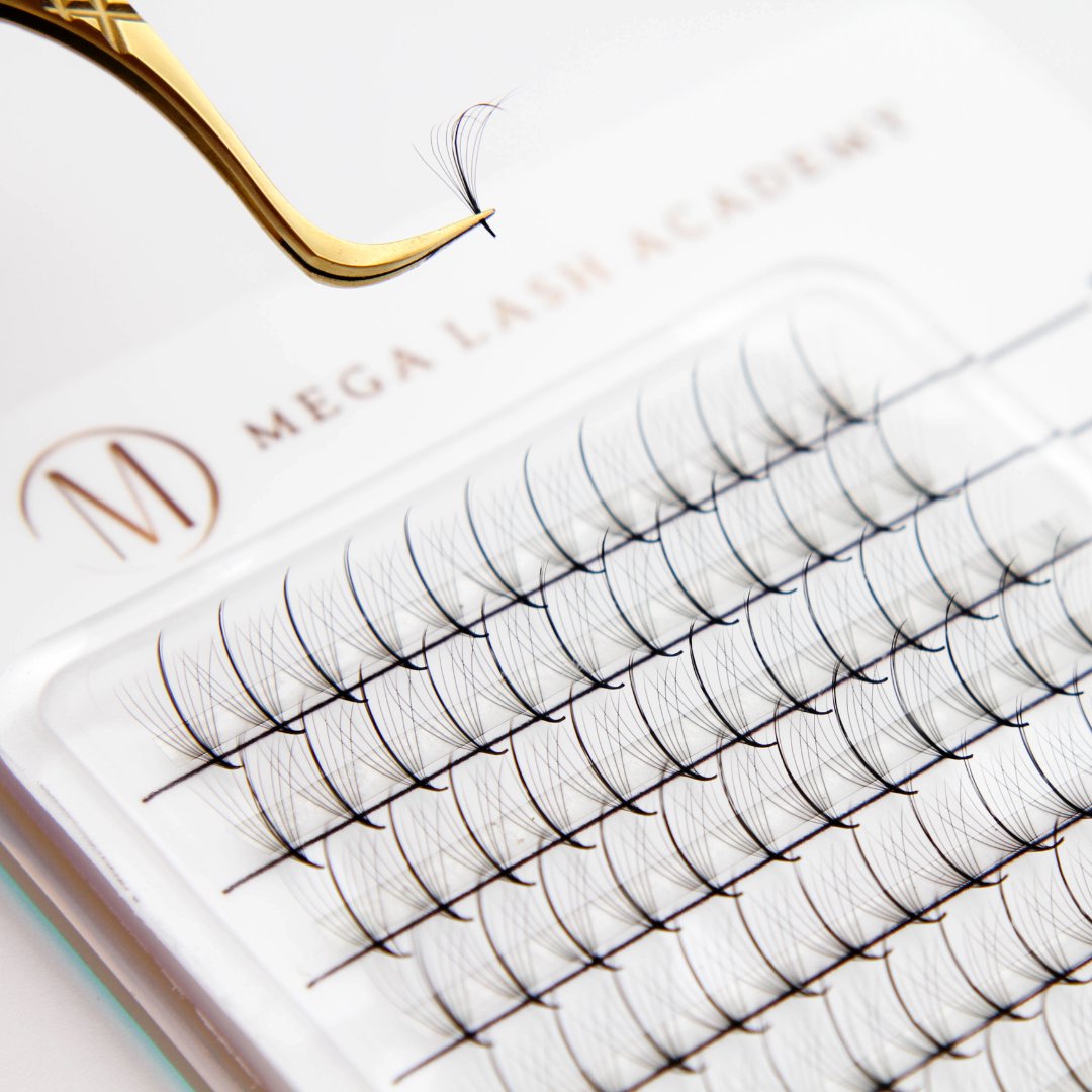 Wispy 9D Rapid Promade Fans - 500 Fans Promade Fans Mega Lash Academy 