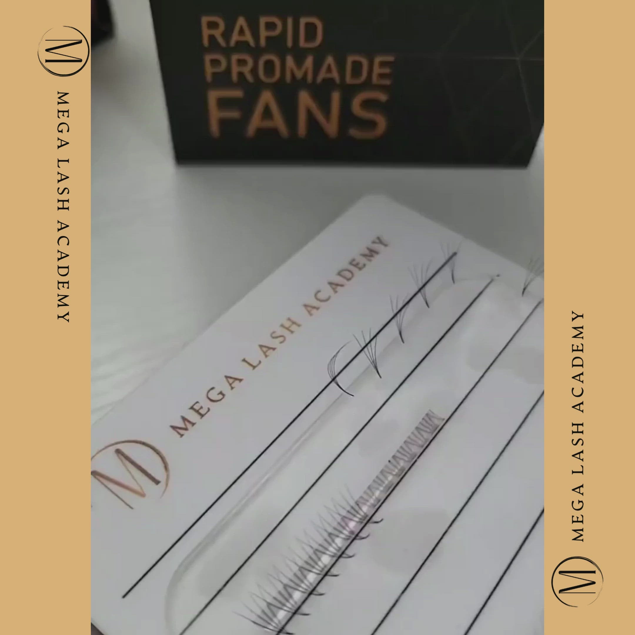 4D Mix Rapid Promade Fans® - 1000 Fans